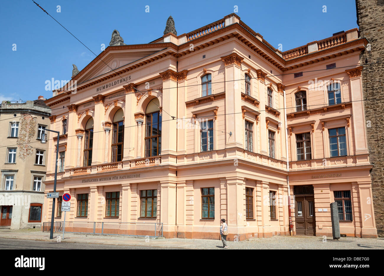 Humboldthaus, Natural History Museum, Görlitz, Sachsen, Deutschland Stockfoto
