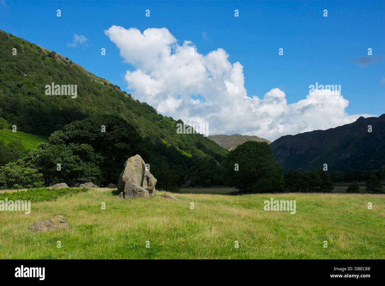 Wiese in der Nähe von Hartsop, Lake District National Park, Cumbria, England UK Stockfoto