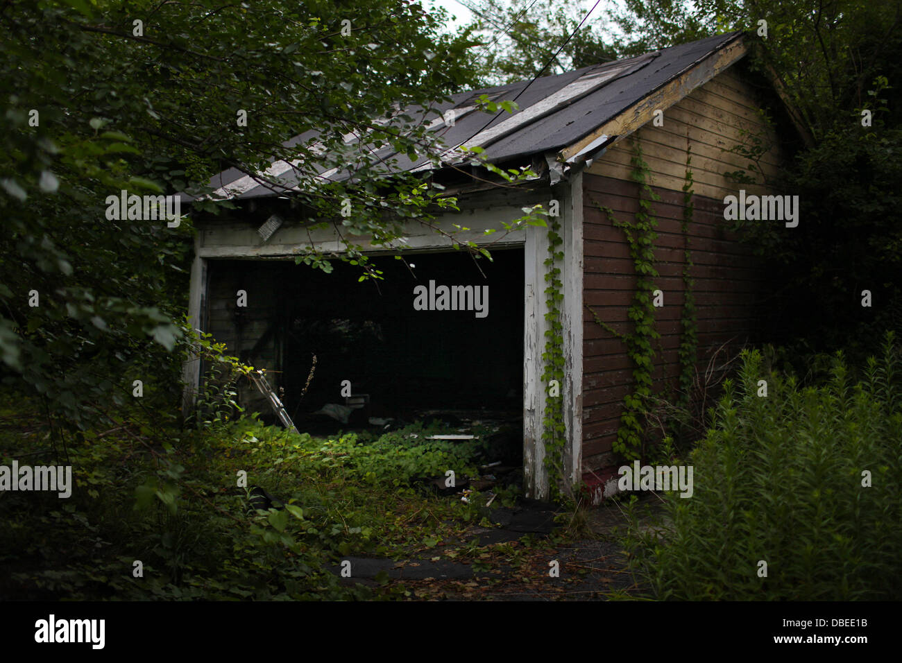 23. Juli 2013 - Cleveland, Ohio, USA - Garage hinter dem Haus an der East 139 Street in East Cleveland waren eines Michael Madison Opfer gefunden wurde. Der Vater der ein 18-j hrige Mädchen, vermisst, auf dem Heimweg von einem Ferienjob Anfang dieses Monats, bezeichnete den schrecklichen Moment, erfuhr er, dass seine Tochter ermordet worden war. Van Terry und seine Familie hatten übergeben worden, Flieger zu versuchen, Shirellda Helen Terry, als er ihren Körper erfuhr war eine von drei auf Samstag, 27. Juli 2013 gefunden. Andere Opfer Angela Deskins 38 und 28 Jahre alten Shetisha Sheeley, war identifi Stockfoto