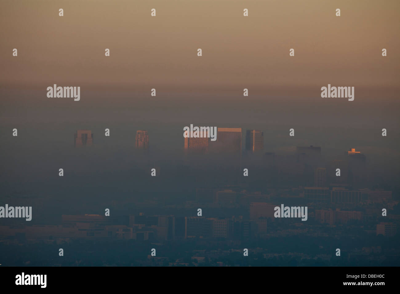 Century City in Nebel und Smog, Blick vom Griffith Observatory, Los Angeles, California, Vereinigte Staaten von Amerika Stockfoto