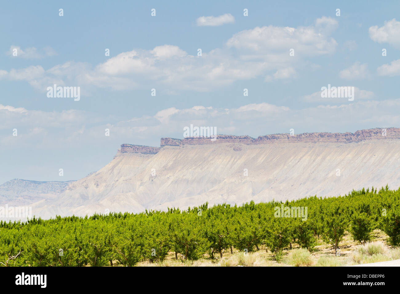 Veneard mit Blick auf Grand Junction Buttes. Stockfoto
