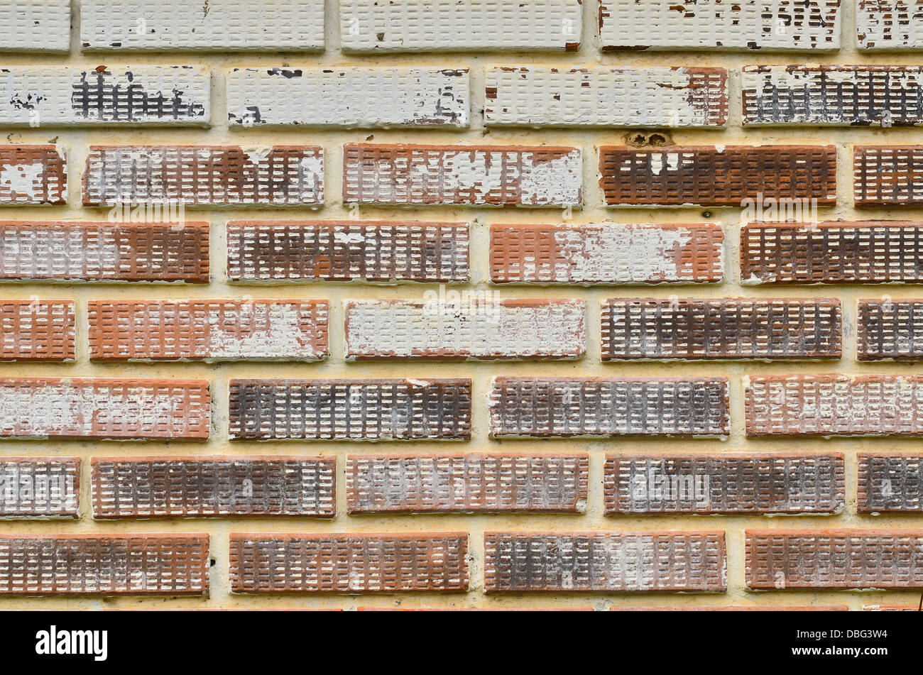 Alte Mauer Stockfoto