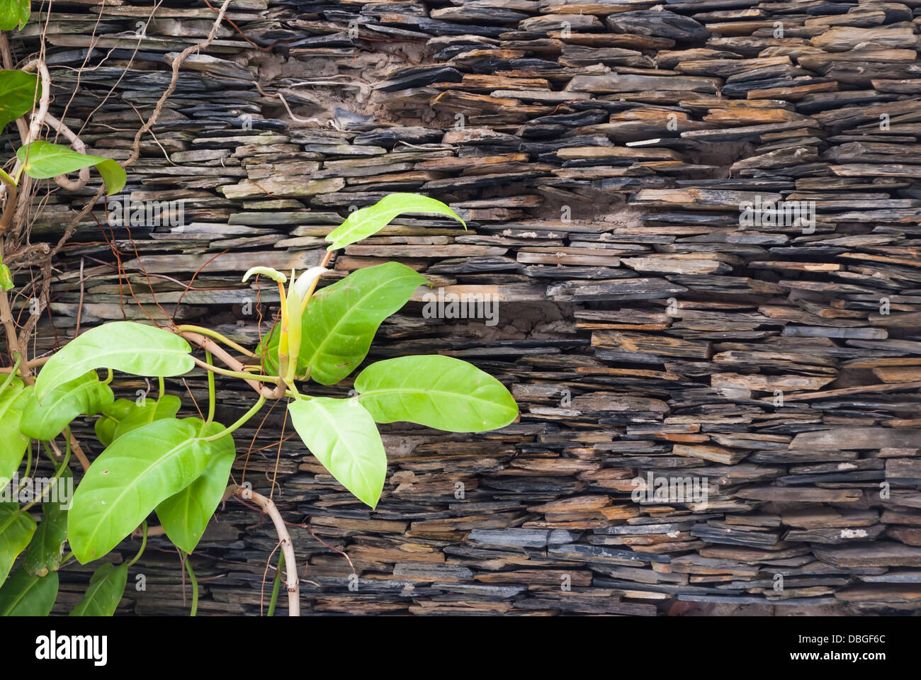 Stapeln Sie Rock Hintergrund / Textur. Stockfoto