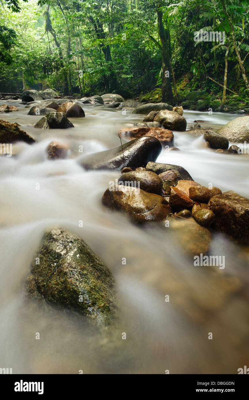 Fluss der Natur, bei Ulu Yam, Selangor, Malaysia Stockfoto