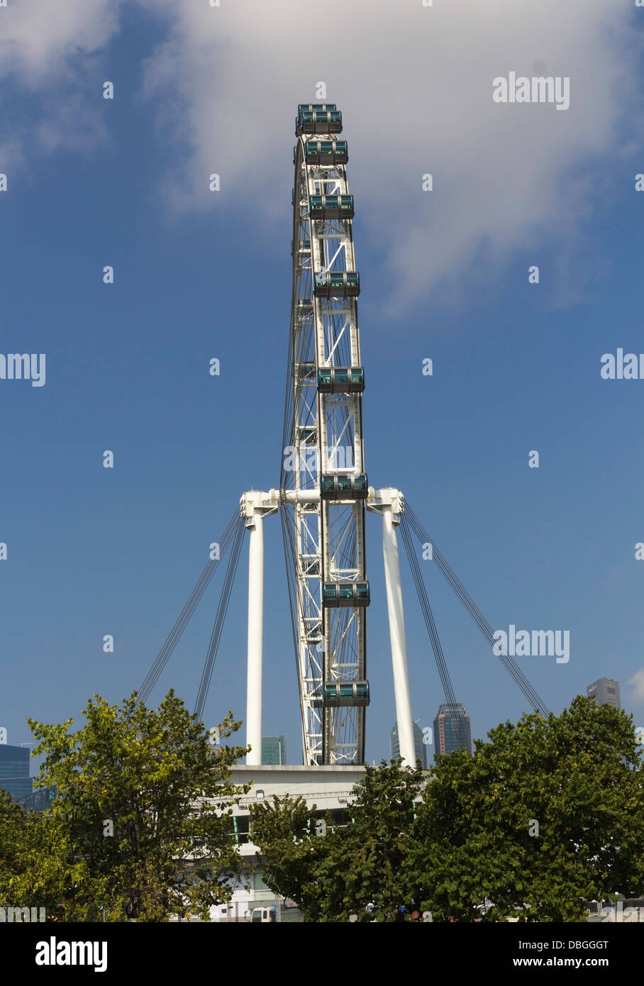 Vorderansicht des Rades von der Singapore Flyer zusammen mit einigen Bäumen vor. Dies ist eine Ansicht von den Wasserbehälter gesehen. Stockfoto