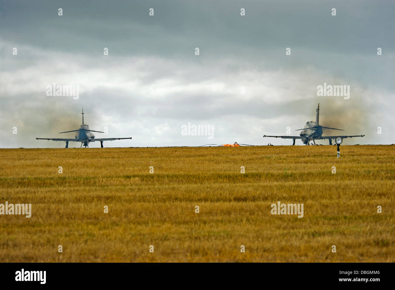 Falken bei Raf Valley Anglesey North Wales Uk.During ausziehen. Stockfoto