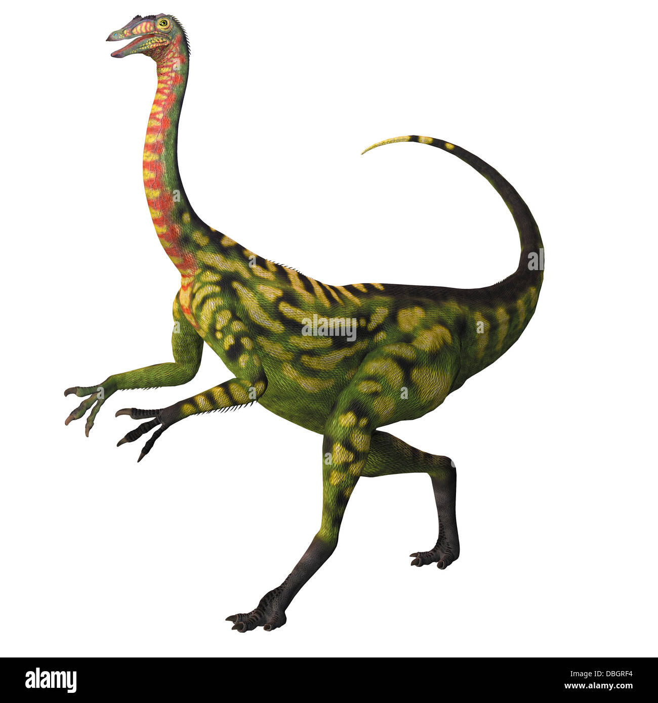 Deincheirus war eine große Theropoden fleischfressender Dinosaurier der Kreidezeit. Stockfoto