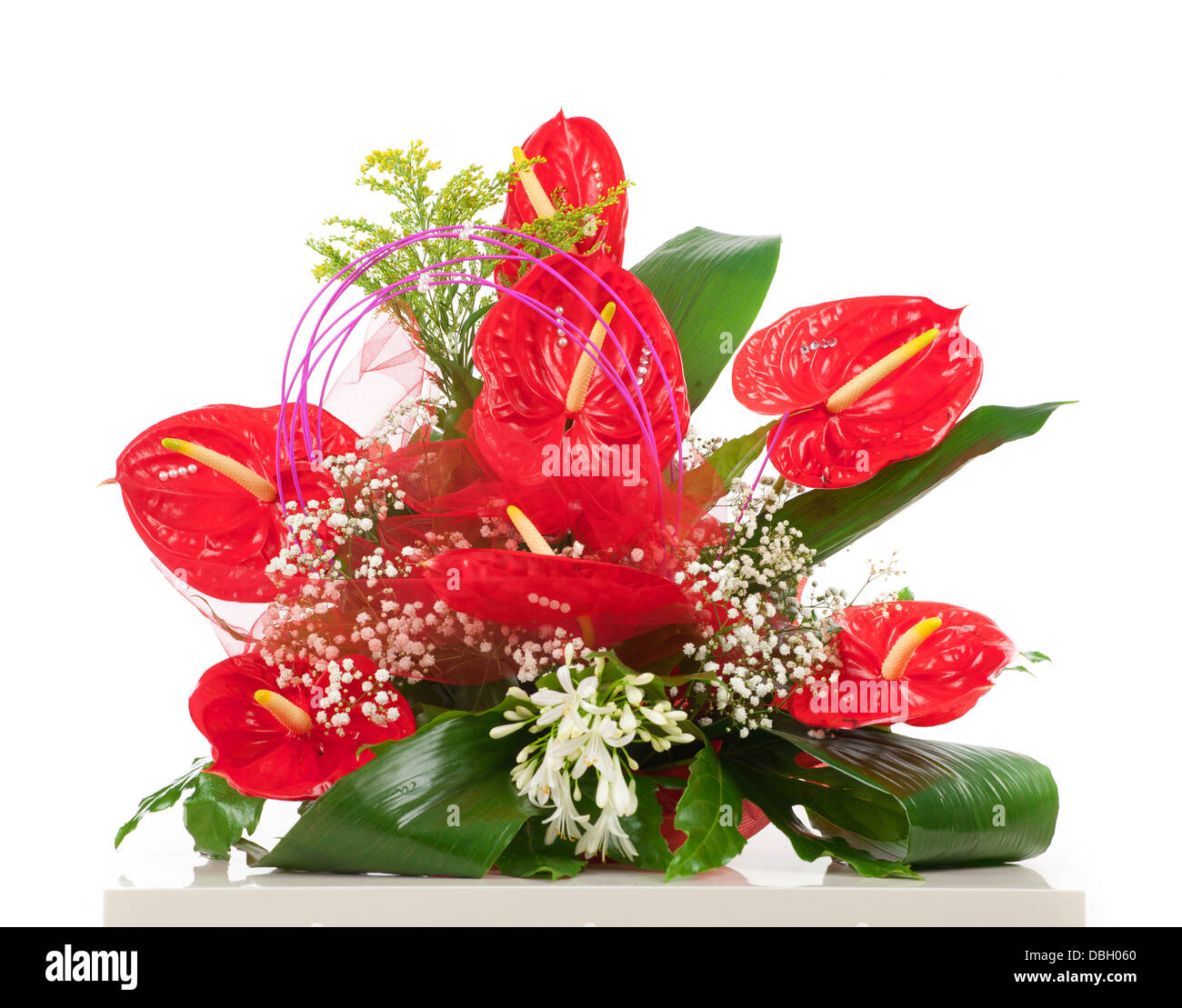 Roten Anthurien Blume isoliert auf weißem Hintergrund Stockfoto