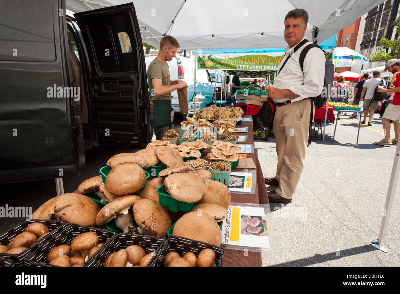 Mann kaufen frischen Champignons am Bauernmarkt - Washington, DC USA Stockfoto