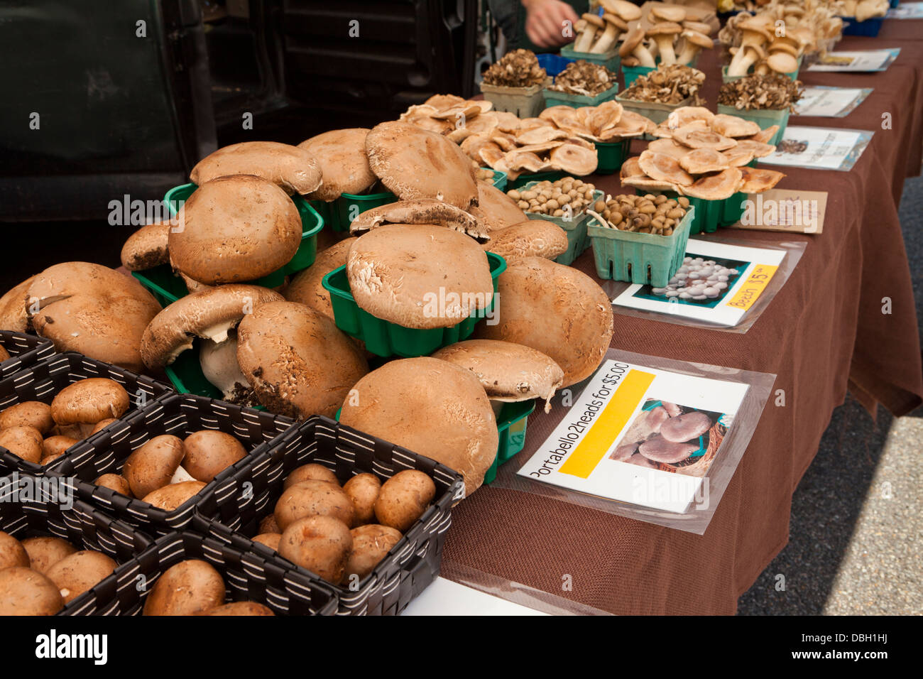 Frische Pilze Stand am Bauernmarkt - Washington, DC USA Stockfoto