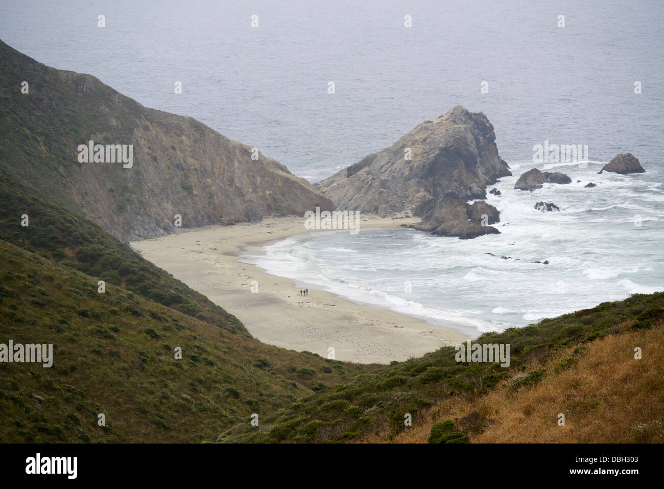 McClures Beach, Point Reyes National Seashore Stockfoto