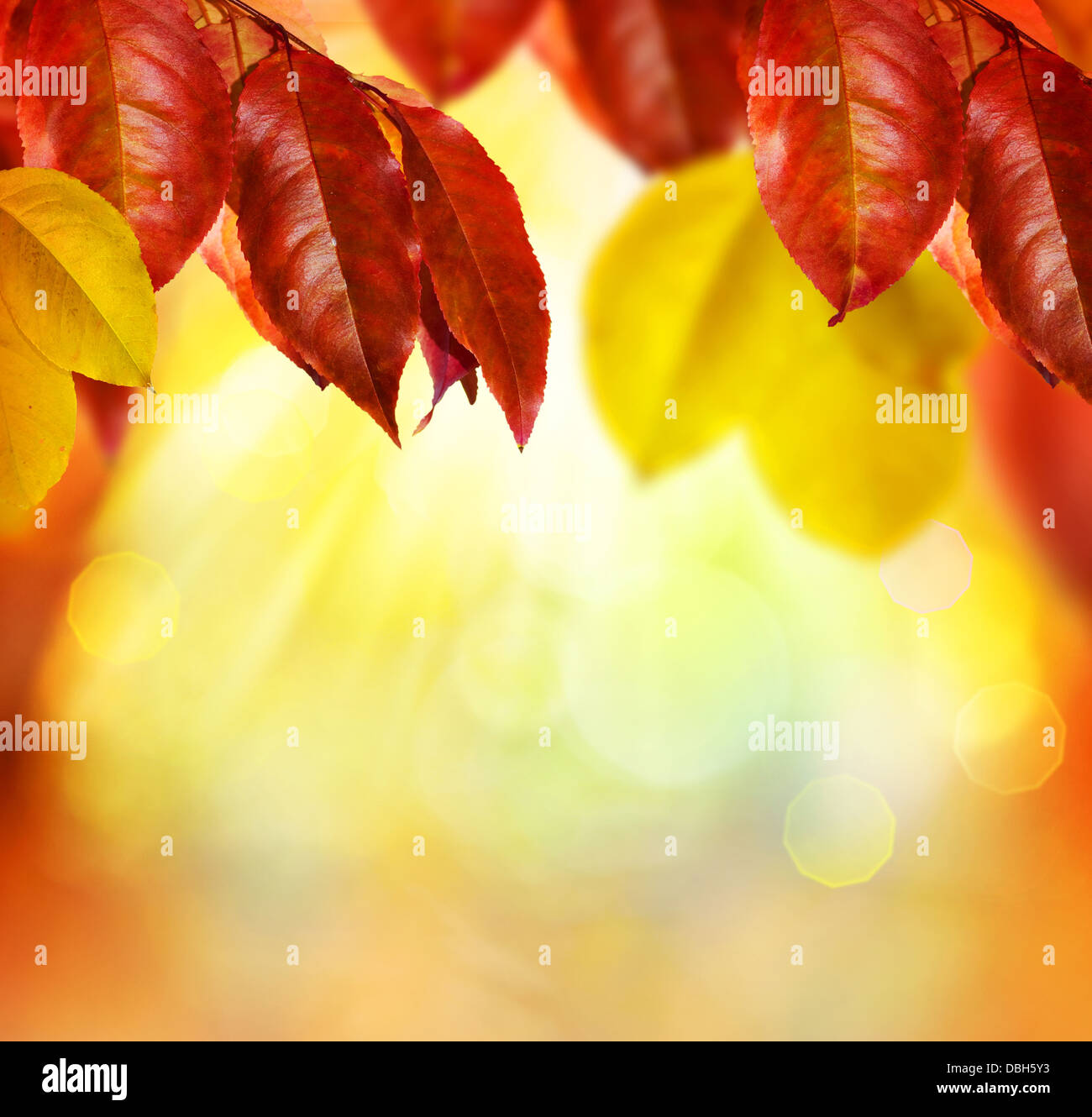 Herbst Stockfoto