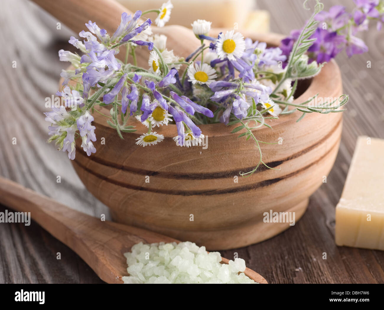 Natürliche pflanzliche Spa-Produkte Stockfoto