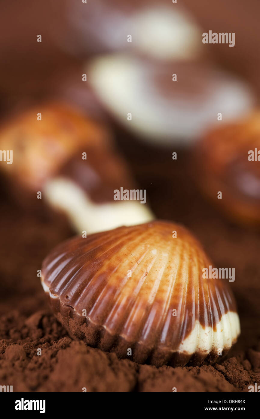 Schokolade Muscheln Stockfoto