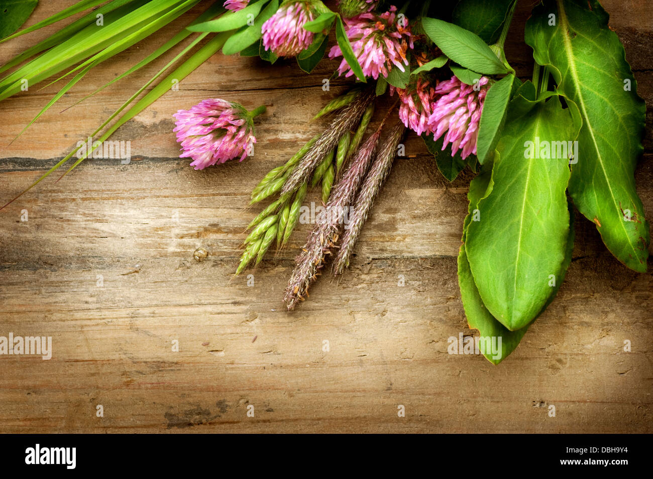 Kräuter über Holz. Pflanzliche Arzneimittel. Pflanzliche Hintergrund Stockfoto