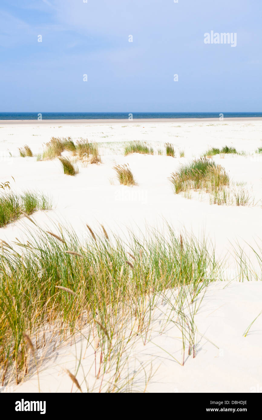 Zum Teil bewachsene Sanddünen am Strand Nordsee in Norderney, Deutschland. Stockfoto