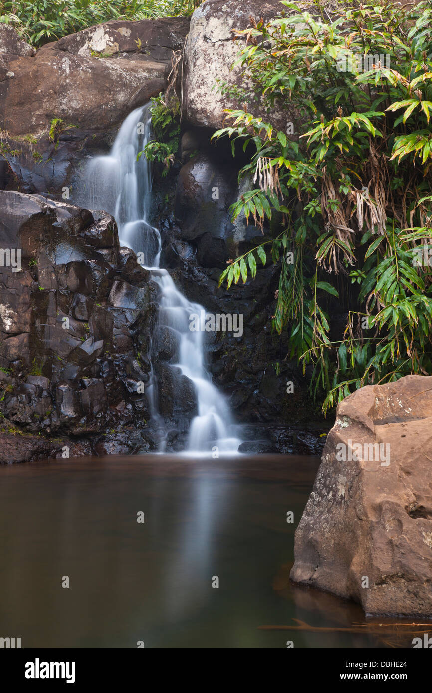 Kleiner Wasserfall in den Waimea Canyon auf Kauai, Hawaii. Stockfoto