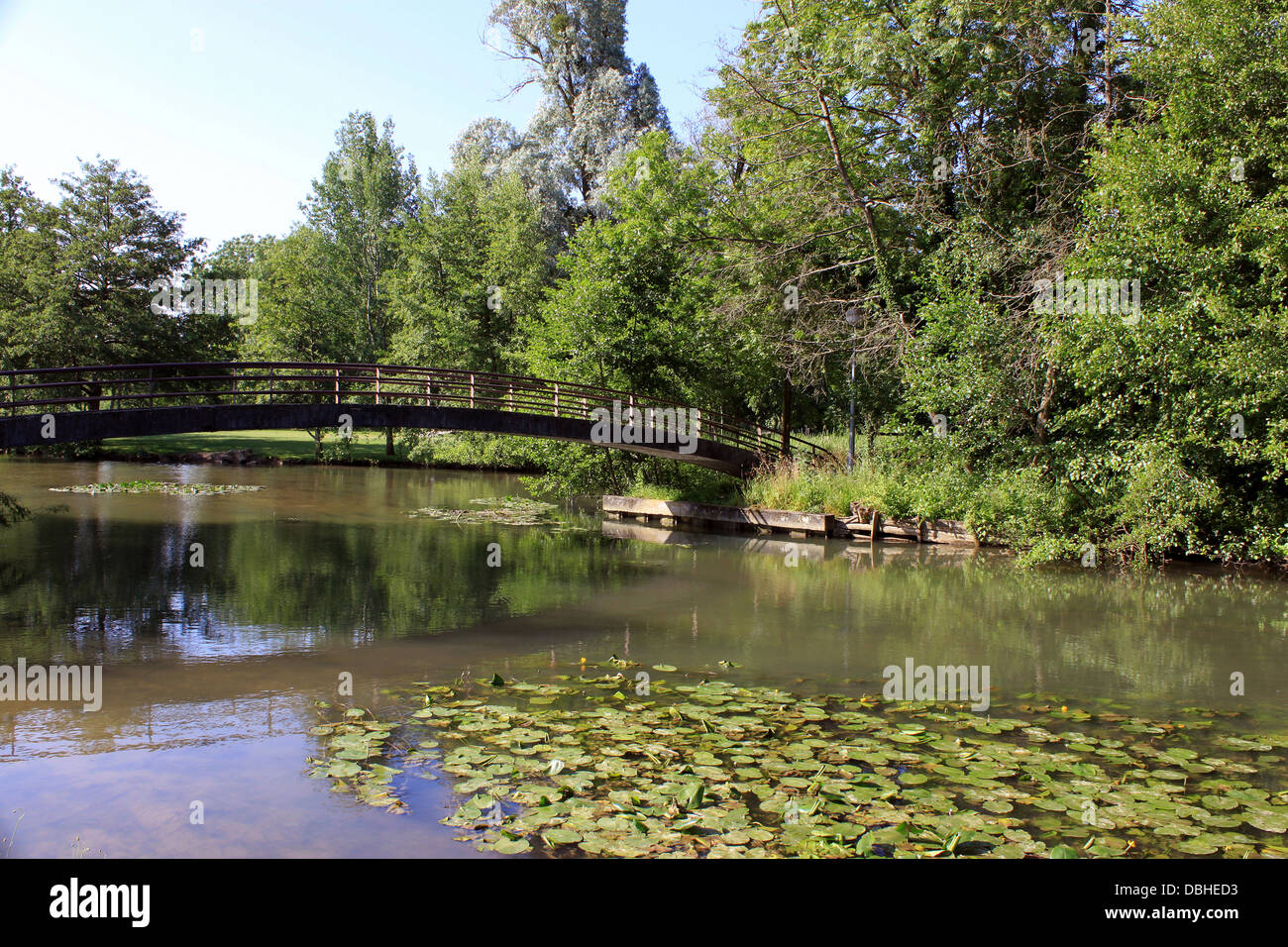 ein Fluss mit seinen Seerosen-Brücke, umgeben von einem bewaldeten park Stockfoto