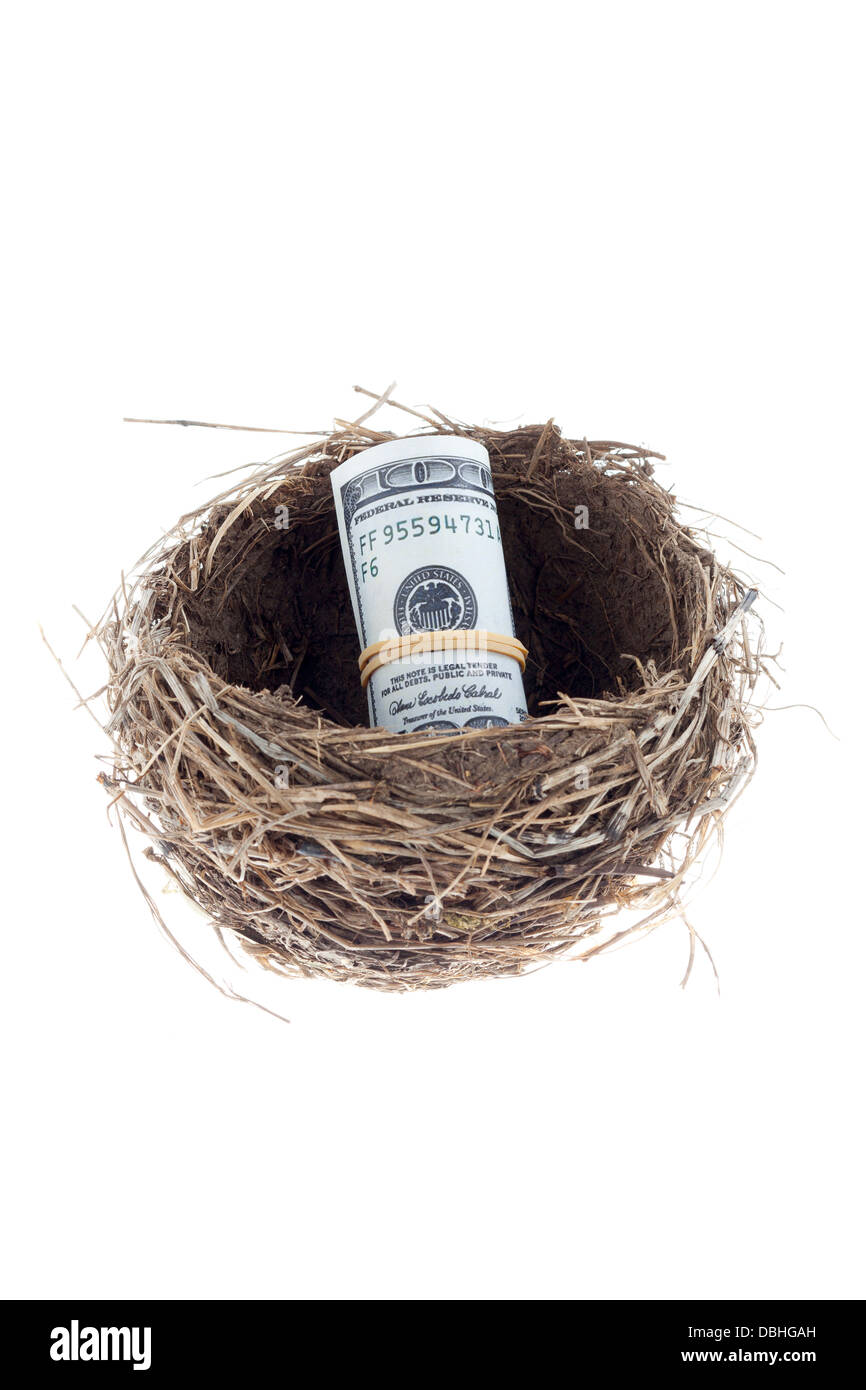 Vogelnest mit einem US-dollar Stockfoto