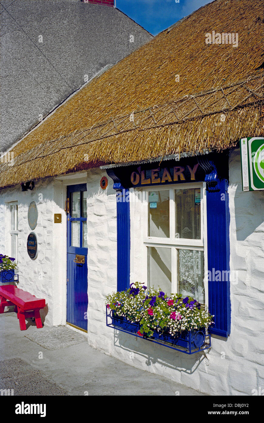 Ein traditionelles irisches weiß getünchten Reetdachhaus in Nord Dublin Dorf der Schären, bietet Bed &amp; breakfast Stockfoto