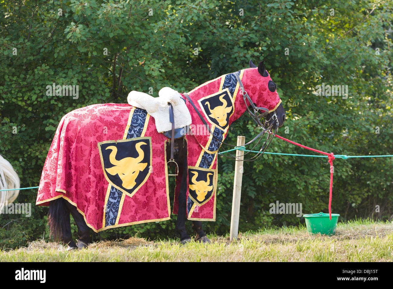 Pferd mit Mantel auf mittelalterlichen Fayre Stockfoto