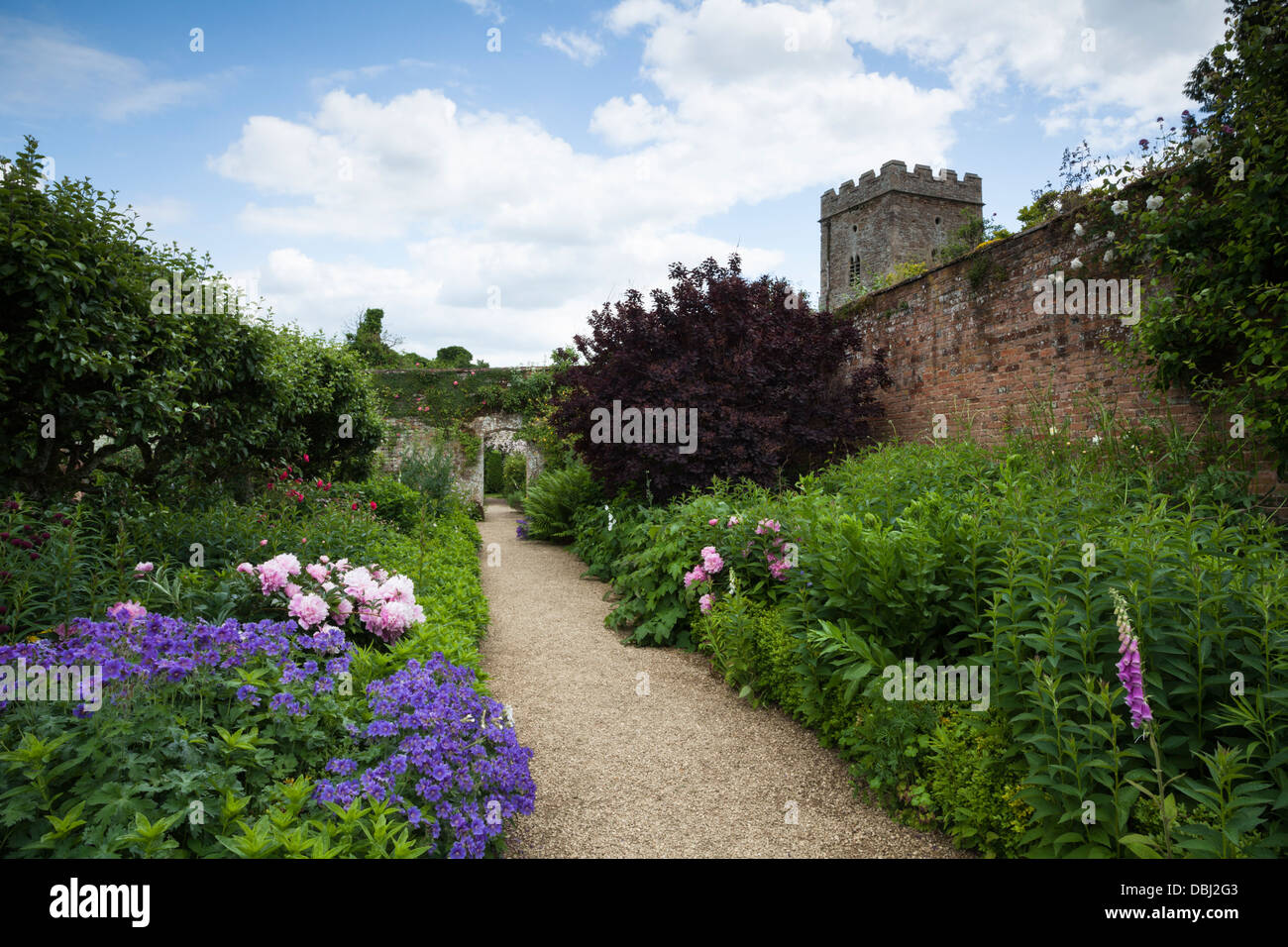 Bunte Staudenrabatten innerhalb der ummauerten Garten Rousham House säumen einen breiten Schotterweg, Oxfordshire, England Stockfoto