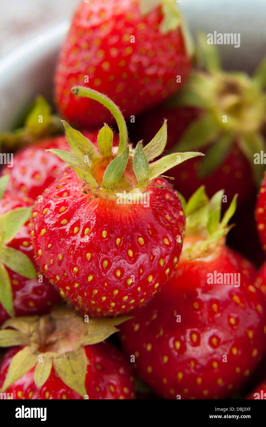 Erdbeeren in einer Tasse Stockfoto