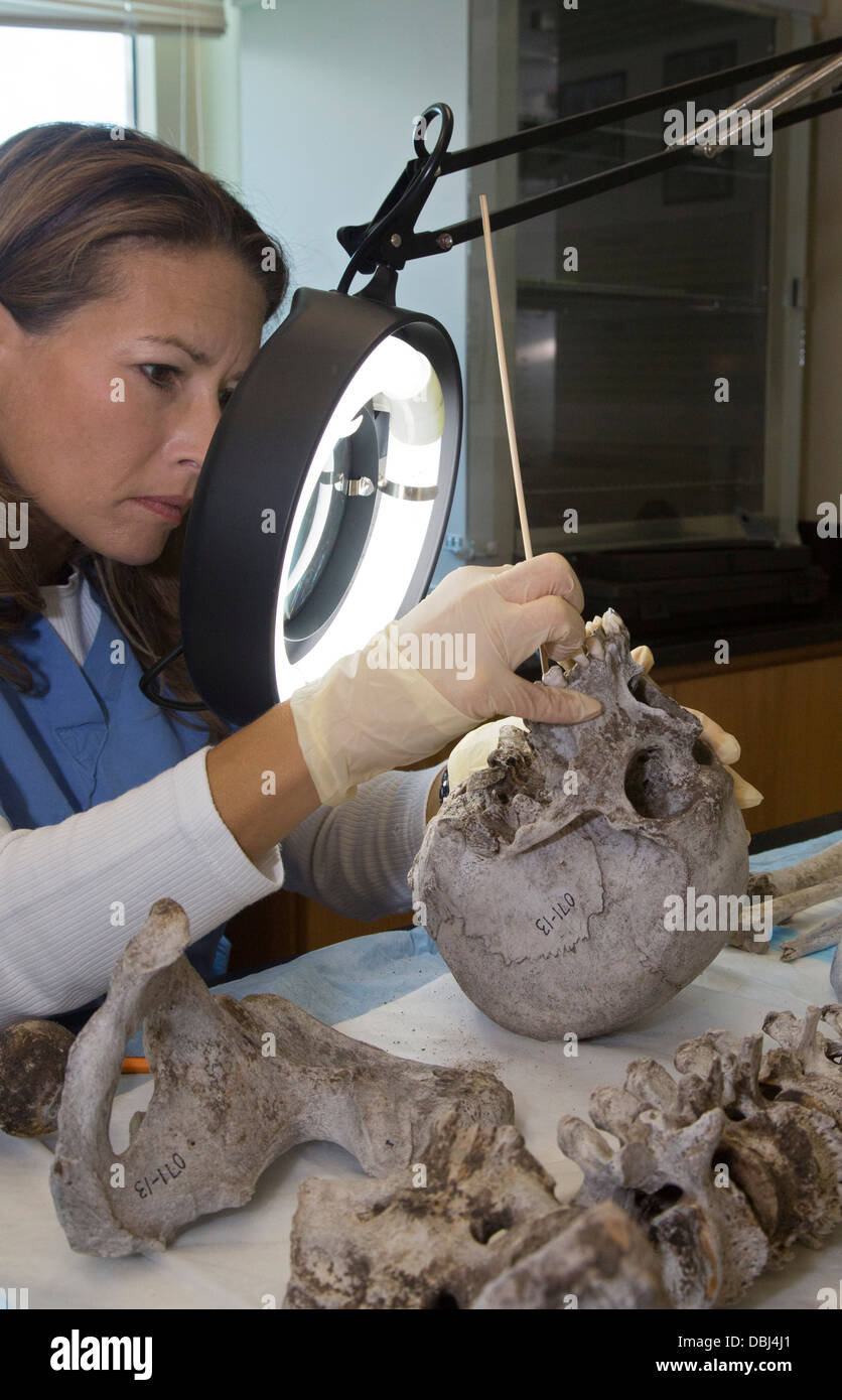 Baylor University Lab arbeitet identifizieren bleibt der unbekannten Migranten verstorbenen über die Grenze von Mexiko Stockfoto