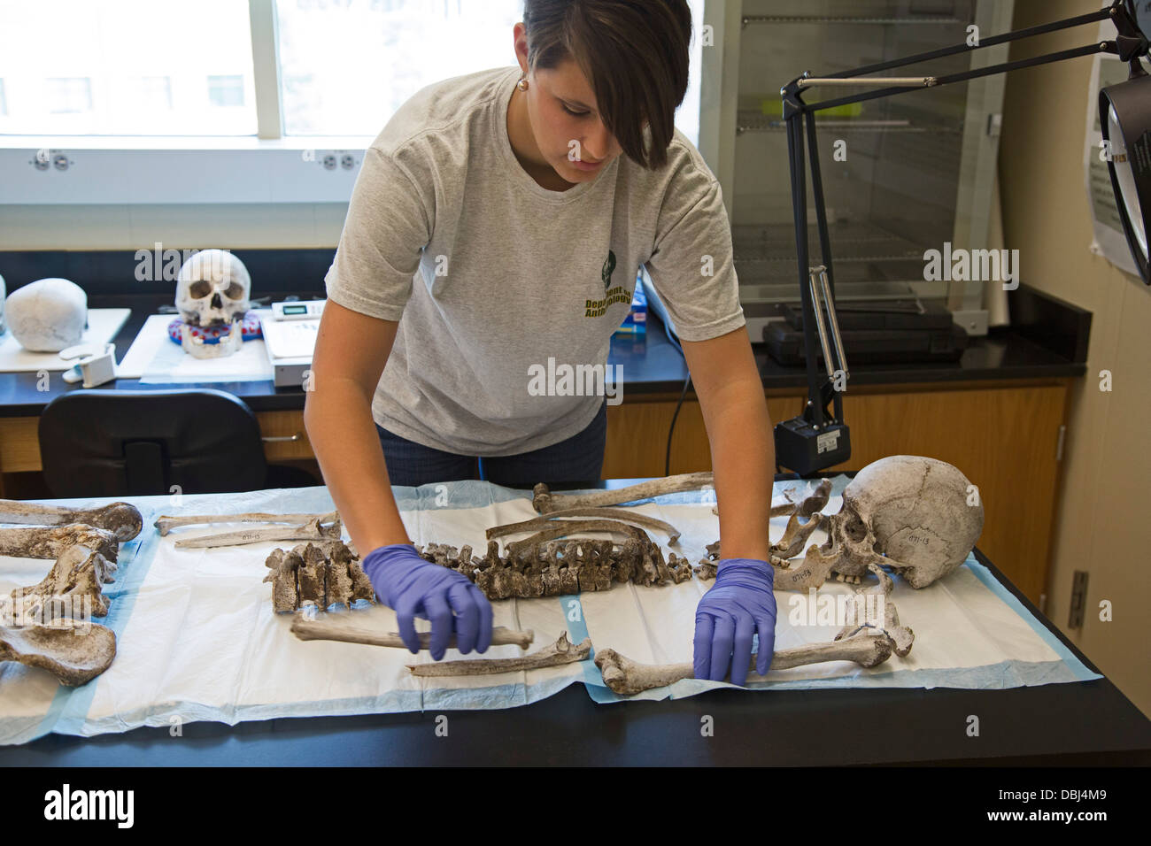 Baylor University Lab arbeitet identifizieren bleibt der unbekannten Migranten verstorbenen über die Grenze von Mexiko Stockfoto