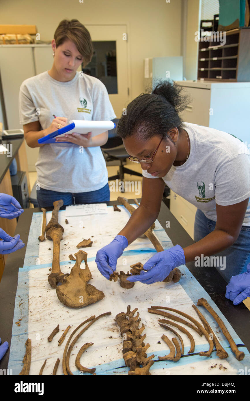 Baylor University Lab arbeitet identifizieren bleibt der unbekannten Migranten verstorbenen über die Grenze von Mexiko Stockfoto