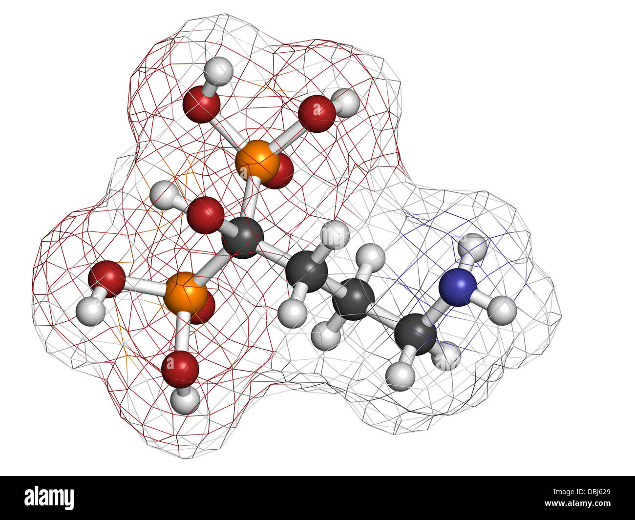 Alendronic Säure (Alendronat, Bisphosphonat-Klasse) Osteoporose Medikament, chemische Struktur. Atome werden als Kugeln dargestellt. Stockfoto