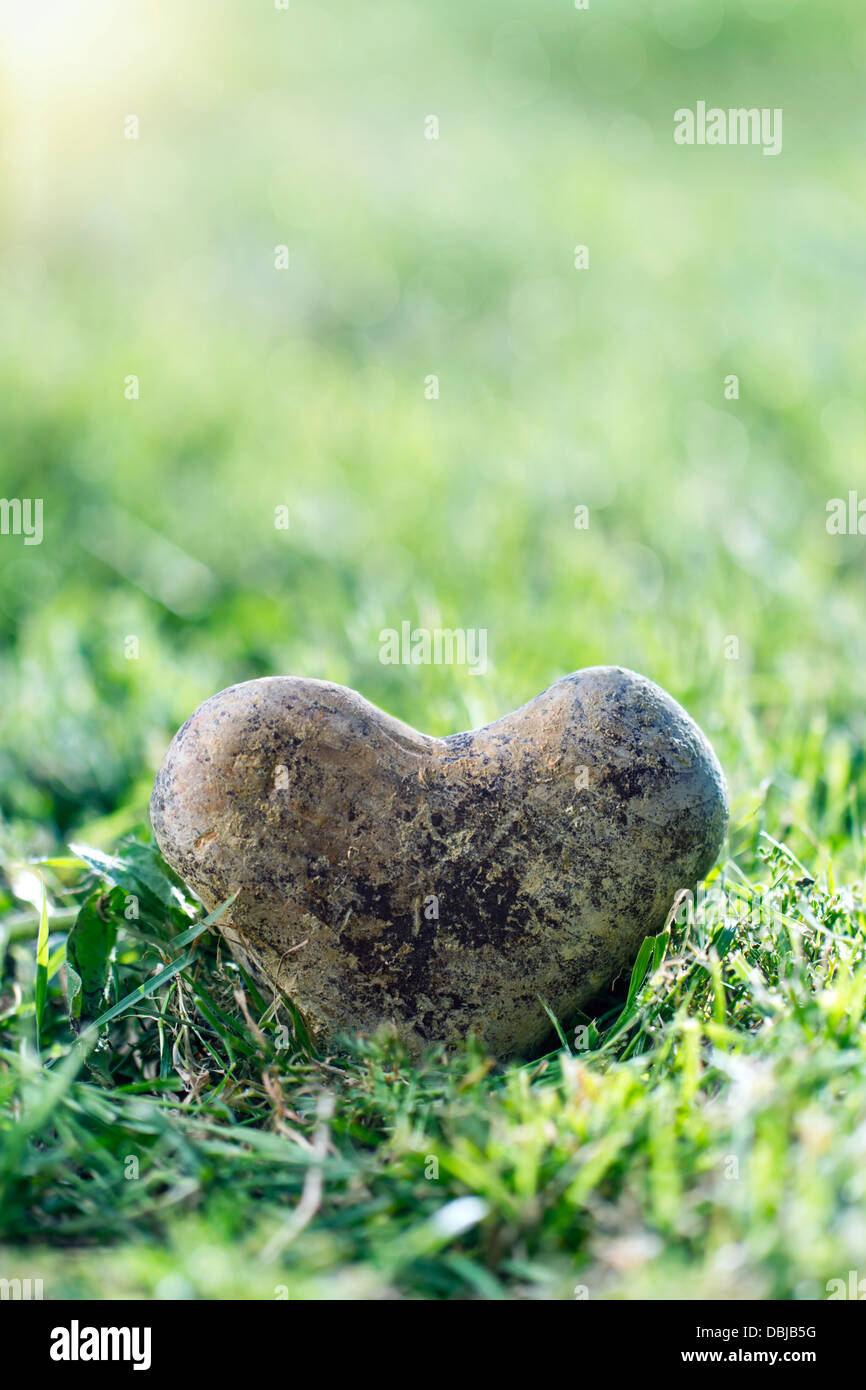 Herzförmige Stein in Grasgrün mit goldenen Sonnenlicht und Textfreiraum Stockfoto