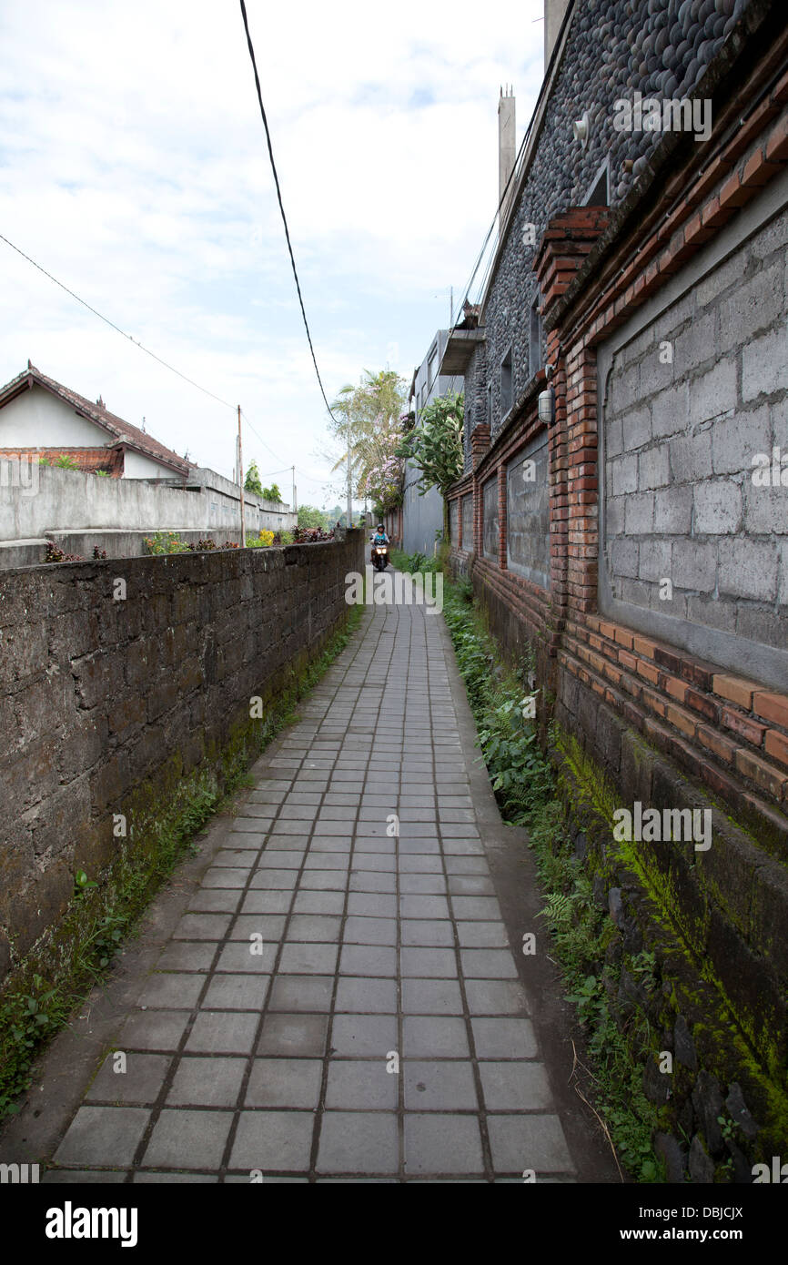 Pfad, Ubud, Bali, Indonesien Stockfoto