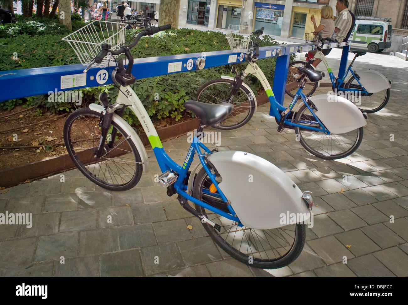 Bicipalma Fahrräder. Stockfoto