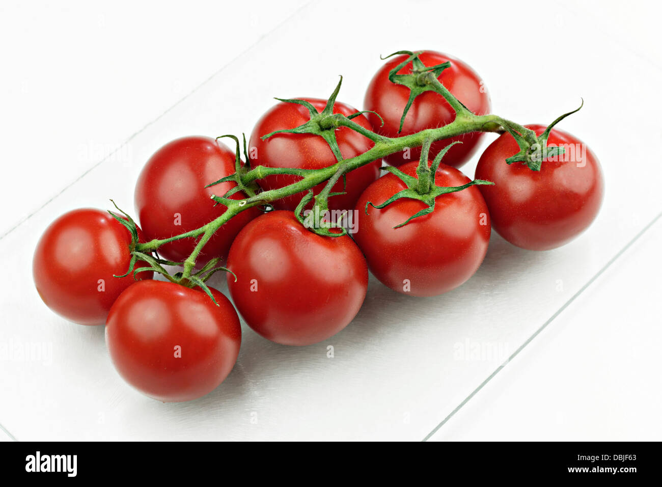 Rote Tomaten an Rebstöcken Stockfoto