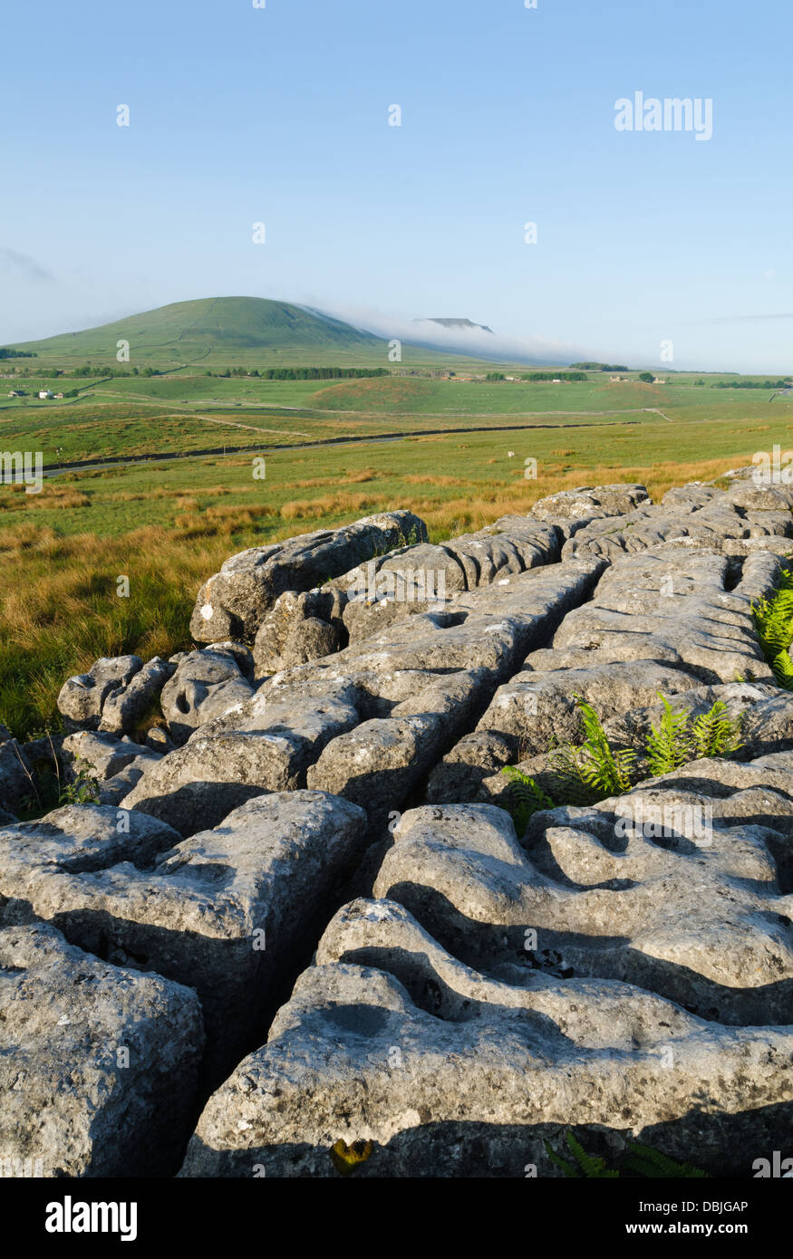 Niedrige Wolke über Ingleborough in Yorkshire-Dlaes Stockfoto