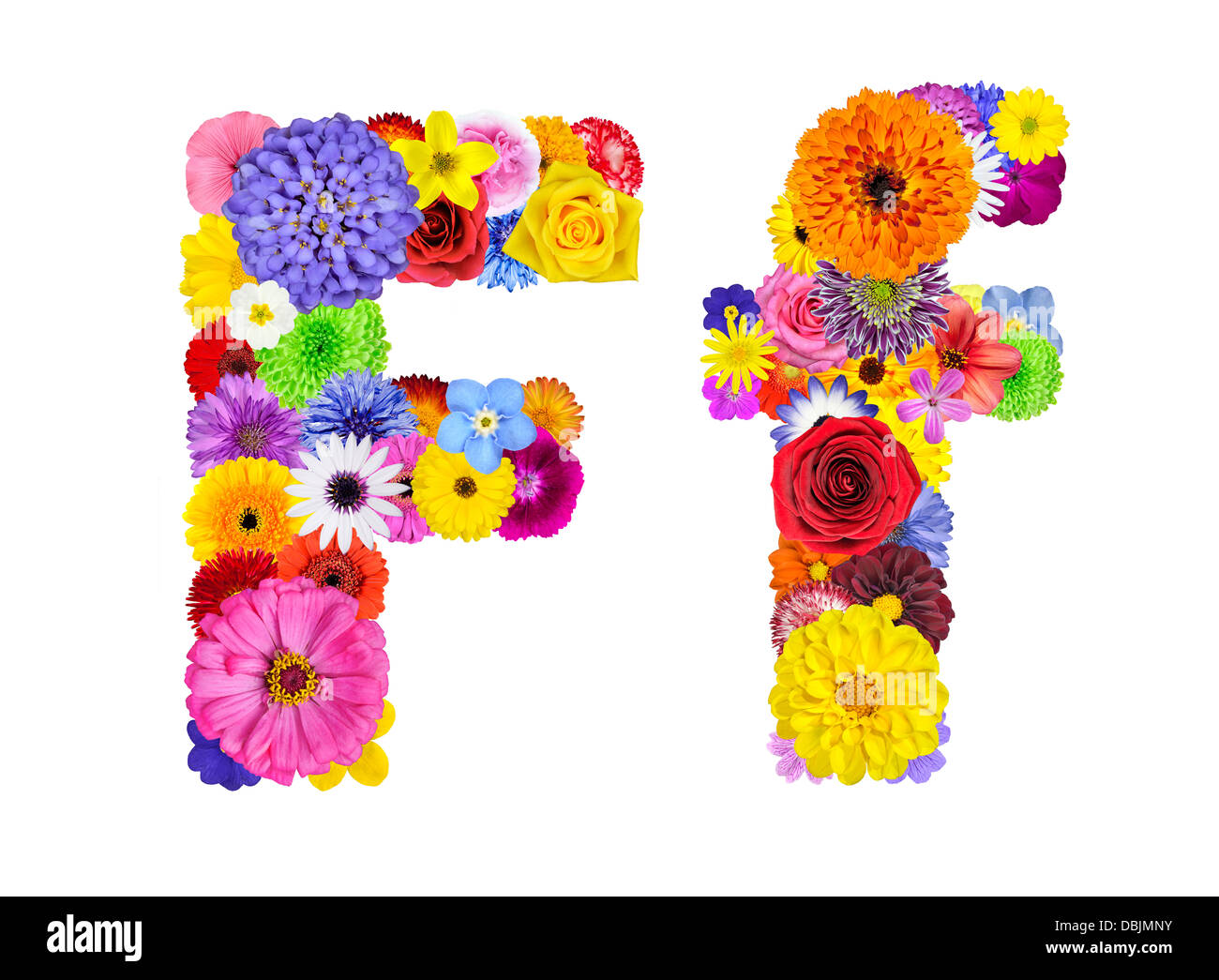 Buchstabe F des Blumen Alphabetes, Isolated on White. Buchstaben bestehen aus vielen bunten und originellen Blumen Stockfoto