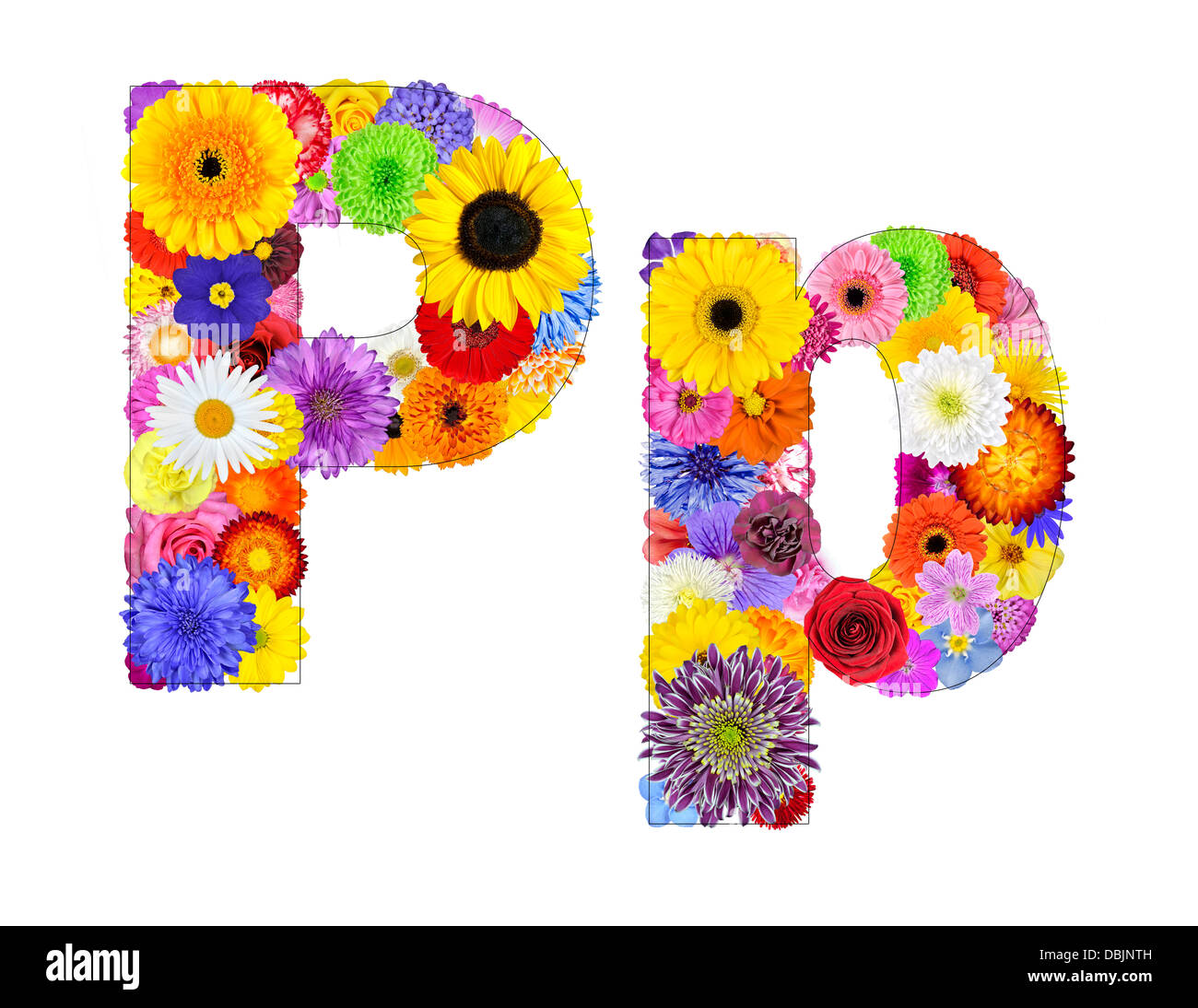 Buchstabe P Flower Alphabet, Isolated on White. Buchstaben bestehen aus vielen bunten und originellen Blumen Stockfoto