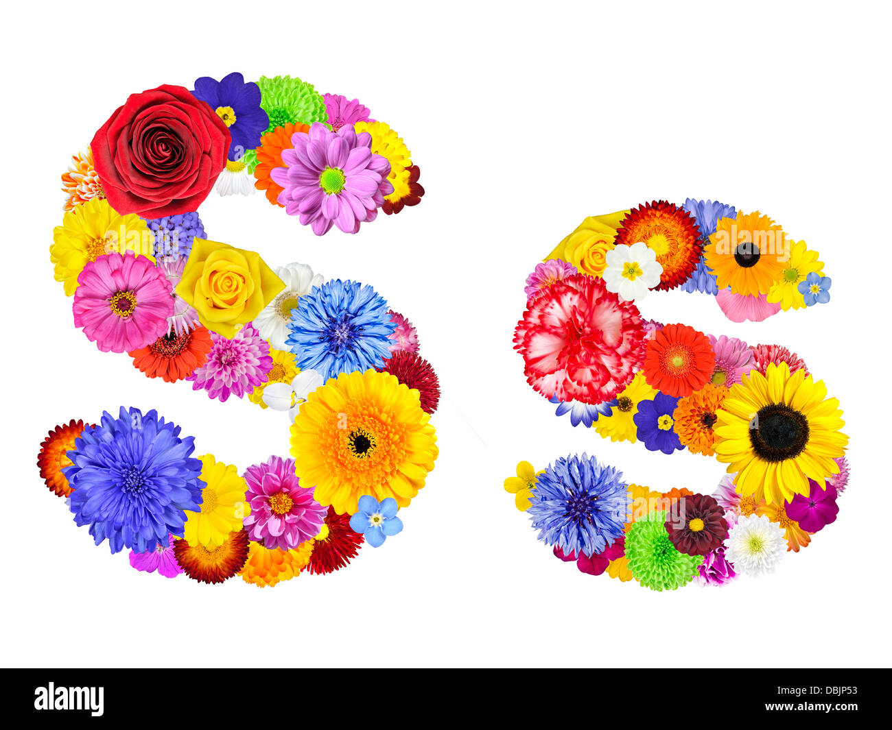 Buchstabe S Flower Alphabet, Isolated on White. Buchstaben bestehen aus vielen bunten und originellen Blumen Stockfoto