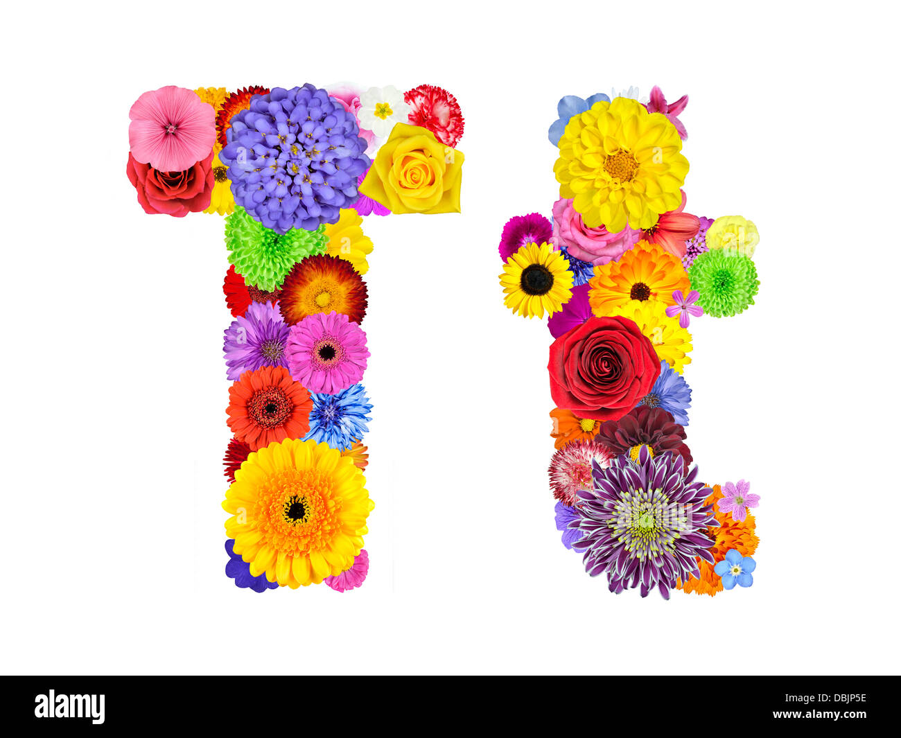 Buchstabe T des Blumen Alphabetes, Isolated on White. Buchstaben bestehen aus vielen bunten und originellen Blumen Stockfotografie