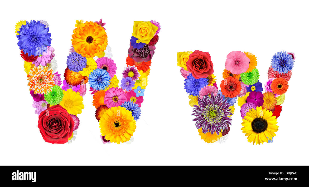 Buchstabe W Flower Alphabet, Isolated on White. Buchstaben bestehen aus vielen bunten und originellen Blumen Stockfoto