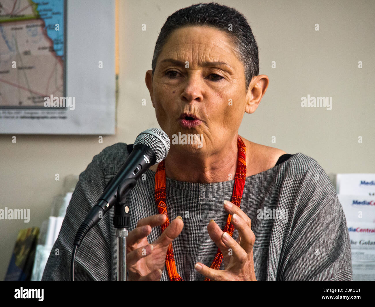 Jerusalem, Israel. 1. August 2013. ROBI DAMELIN, ein israelischer Aktivist südafrikanischen geboren, Mutter von David, erschossen von einem palästinensischen Scharfschützen in 2002 während seiner Zeit in der israelischen Armee, spricht sich für Versöhnung; "Wir müssen aufgeben auf sein"Recht"auf den Kreislauf der Gewalt durchbrechen." Jerusalem, Israel. 1. August 2013.  Robi Damelin, Eltern Kreis Familien Forum, Diskussionen mit Oberstleutnant (Ret) Meir Nachauftragnehmer der Almagor, Verband der Opfer von Terror, Entscheidung der israelischen Regierung für die Wiederaufnahme der Verhandlungen mit den Palästinensern 104 palästinensischen Gefangenen freizulassen. Bildnachweis: Nir Alon/Alamy Live-Nachrichten Stockfoto