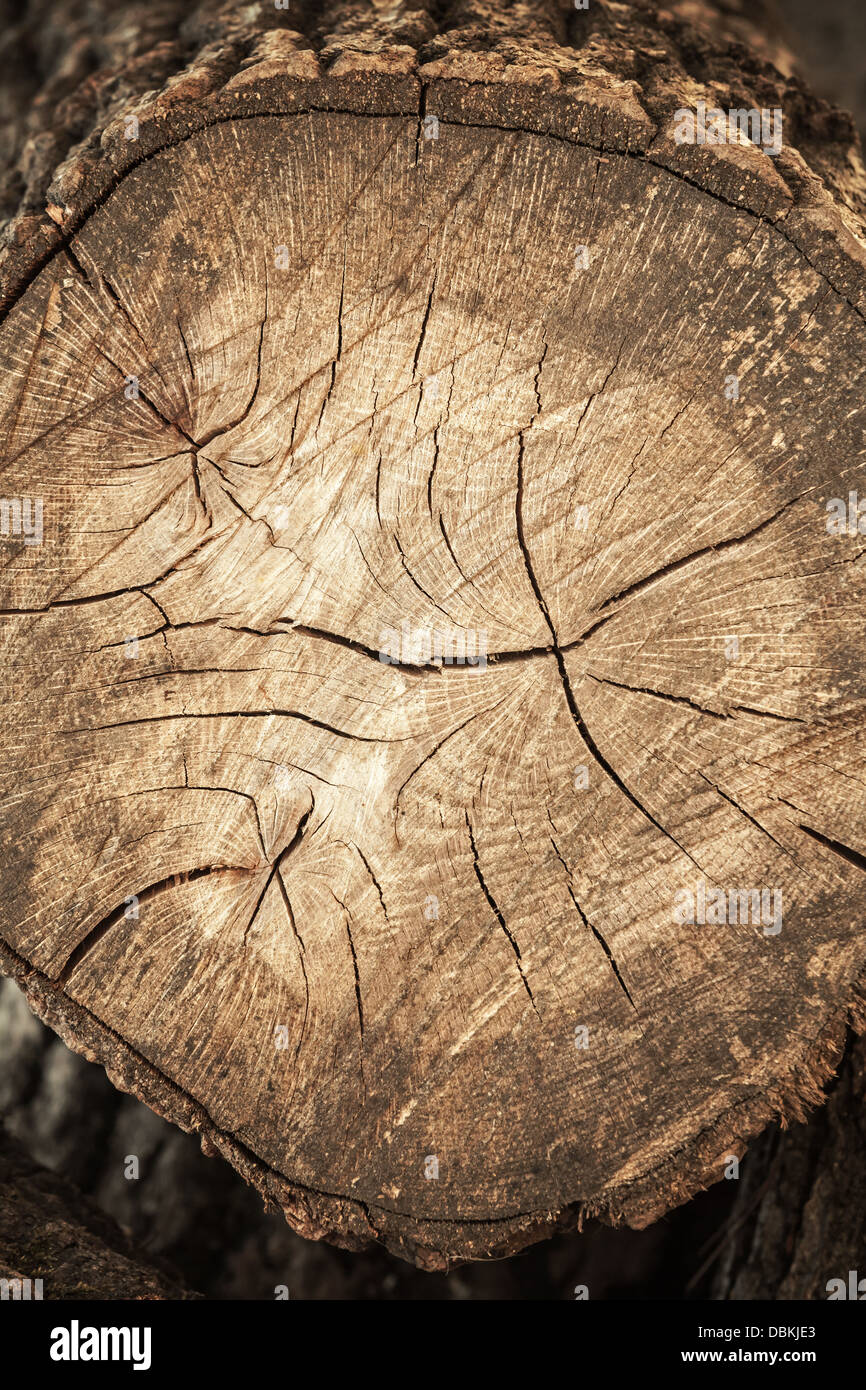 Alt dunkel verwitterte Holz Textur Stockfoto