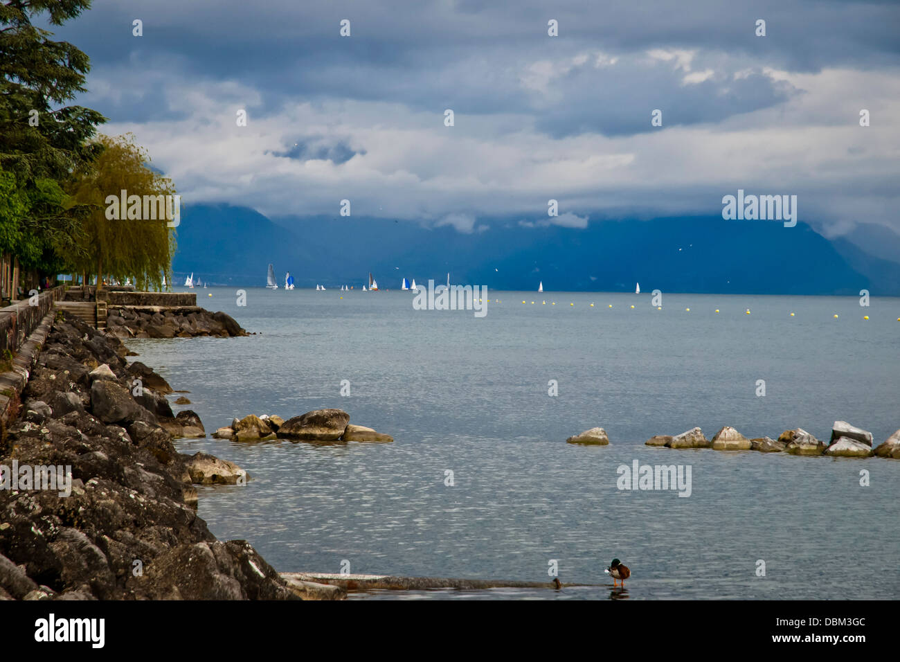 Verregnete Landschaft, den Genfer See oder See Léman, Lausanne, Schweiz, Westeuropa Stockfoto