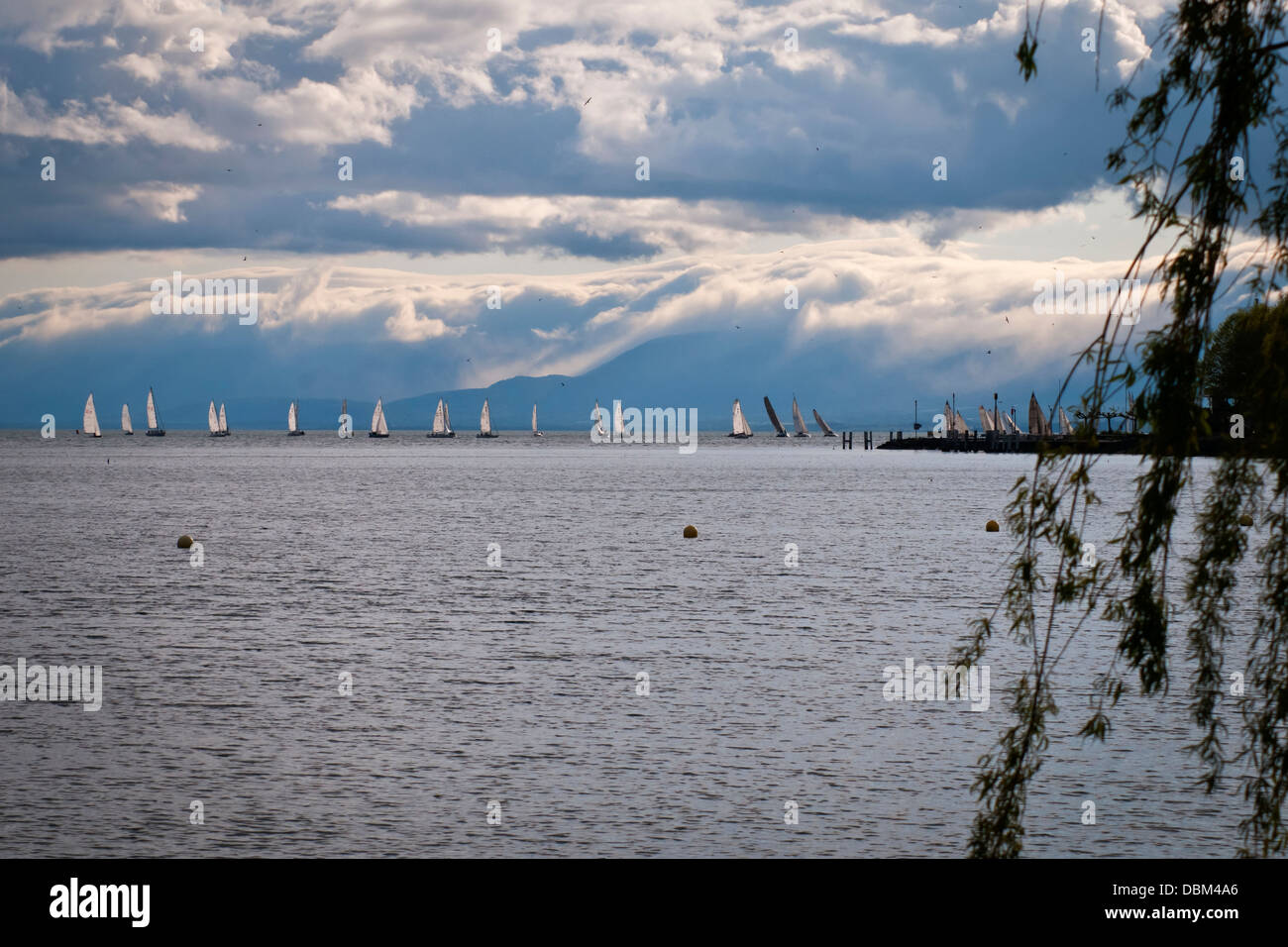 Yacht und Segeln am Horizont, den Genfer See oder See Léman, Lausanne, Schweiz, Westeuropa Stockfoto