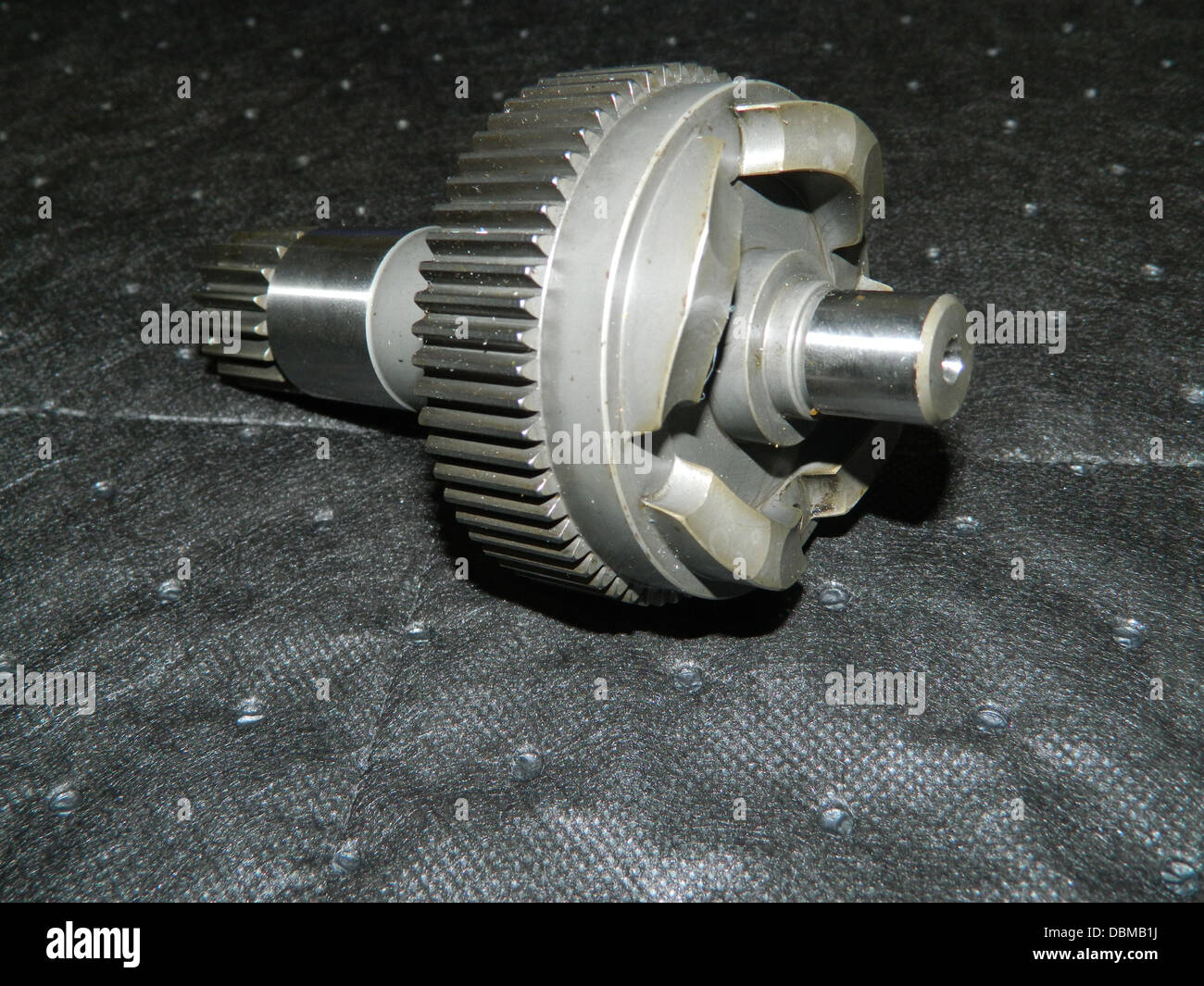 Cam-Zahnrad Stockfoto