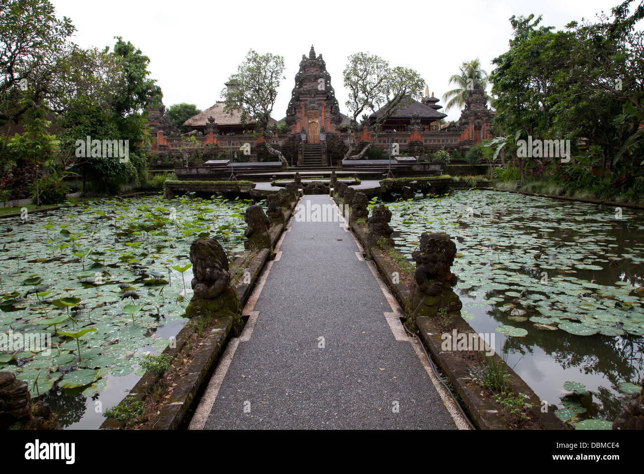 Pura Saraswati Tempel, Lotus Garden, Ubud, Bali, Indonesien Stockfoto