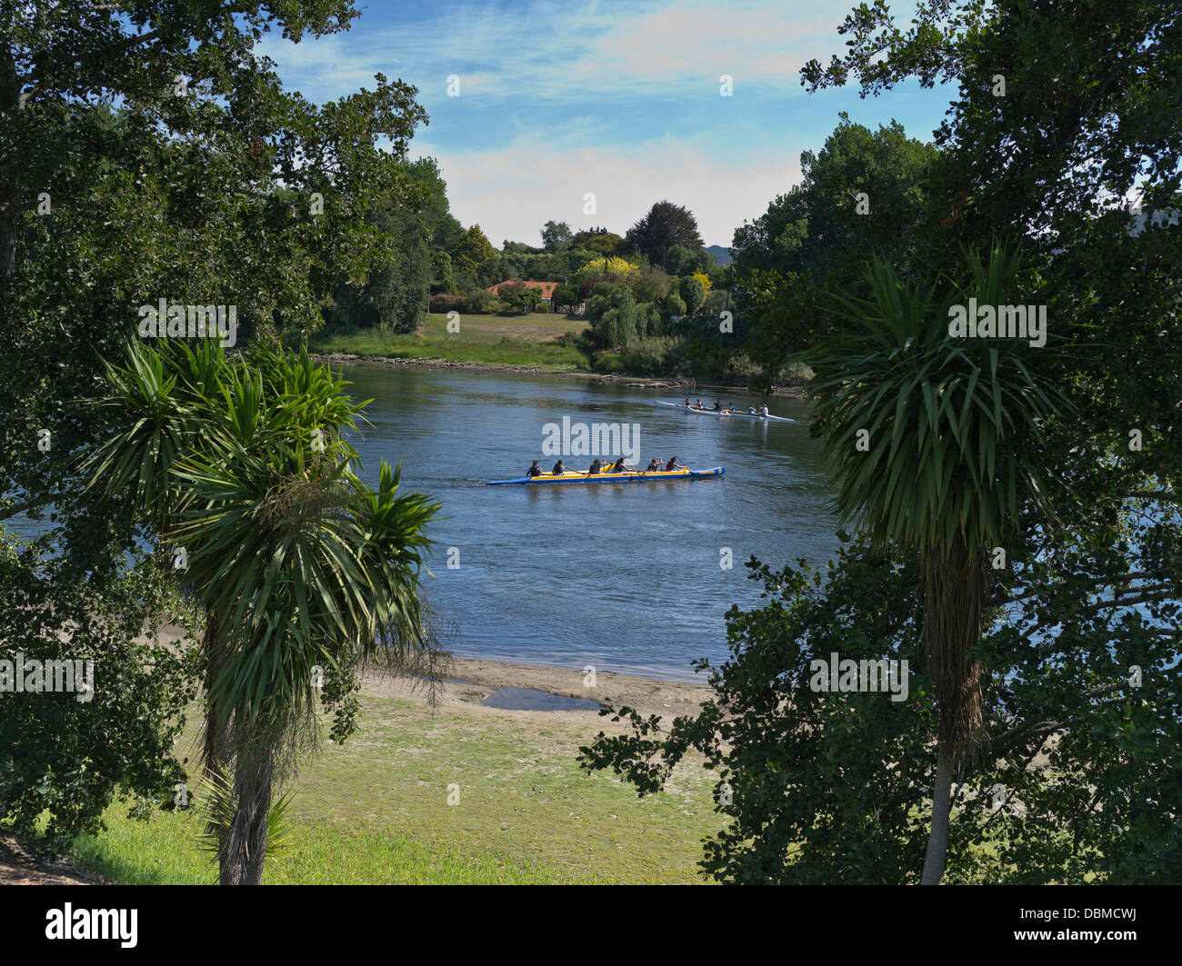 Dh Waikato River NGARUAWAHIA NEUSEELAND Maori Mädchen paddeln Waka racing Kanus Kanu Stockfoto