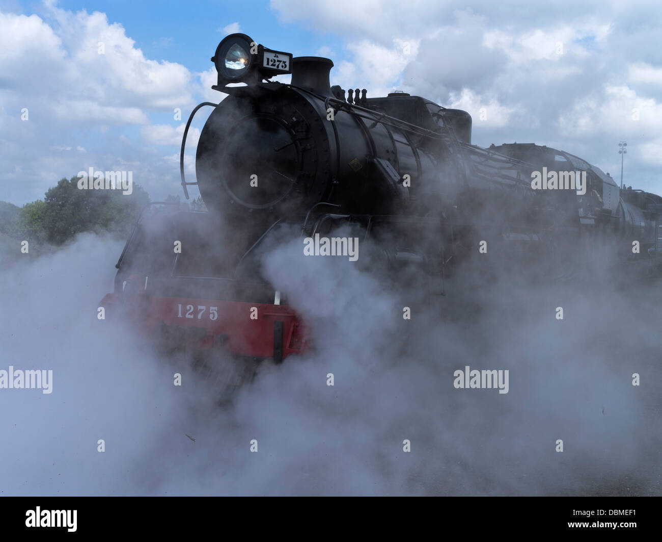 dh Dampfzug Nordinsel TRANSPORT NEUSEELAND NZR ja 1275 Baureihe Typ 4-8-2 Dampflokomotive Eisenbahnzug Exkursionsmaschine Stockfoto