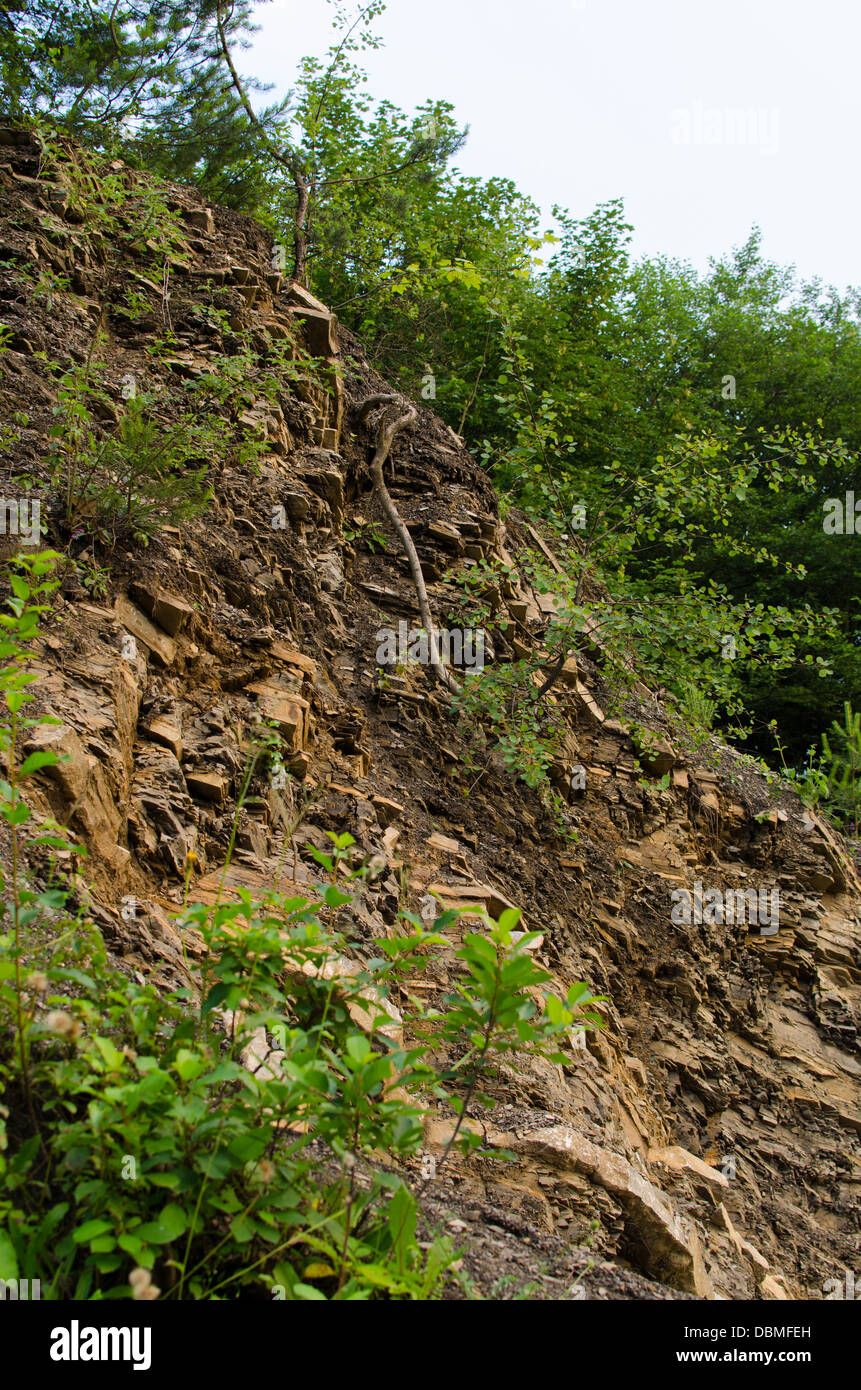 Rock-Erdrutsch im Wald Stockfoto